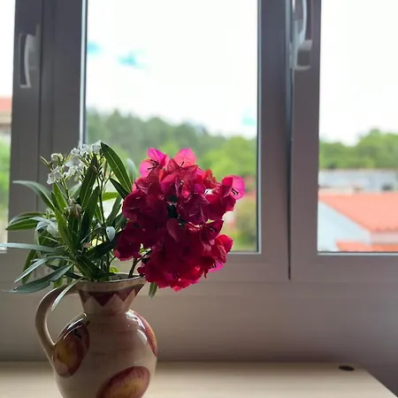 Appartement Casa Luisa